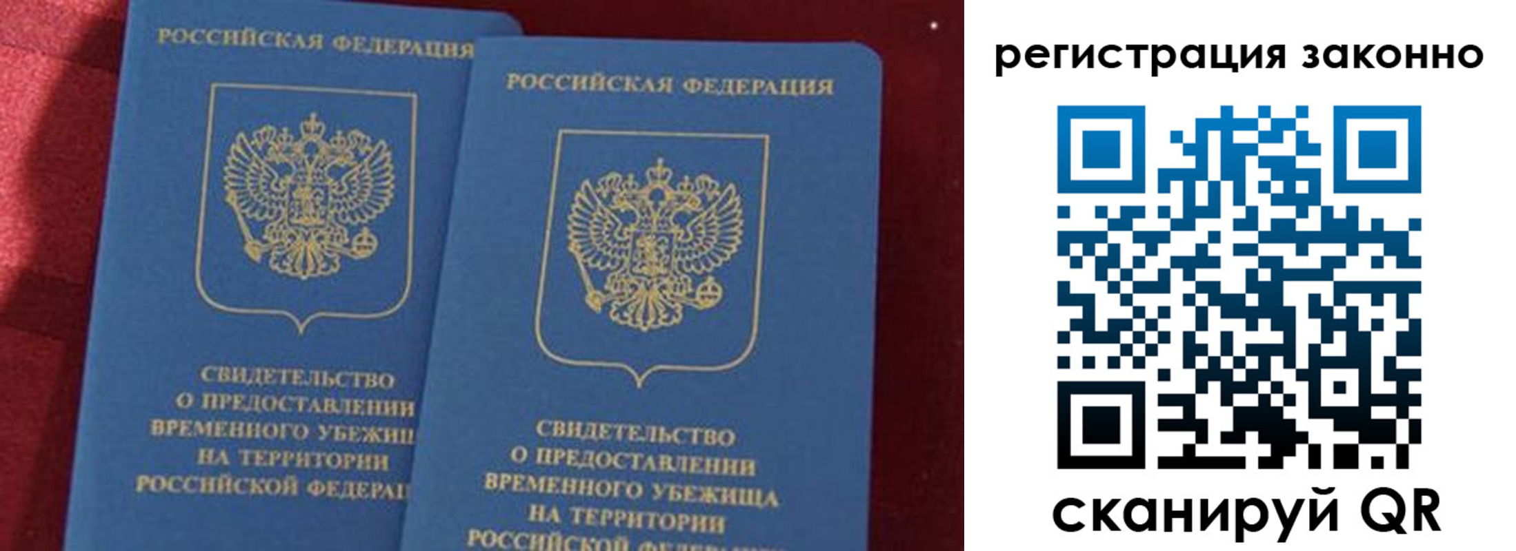 прописка в Шебекино